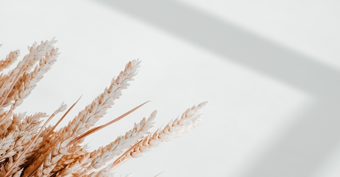 Thérapie athlétique